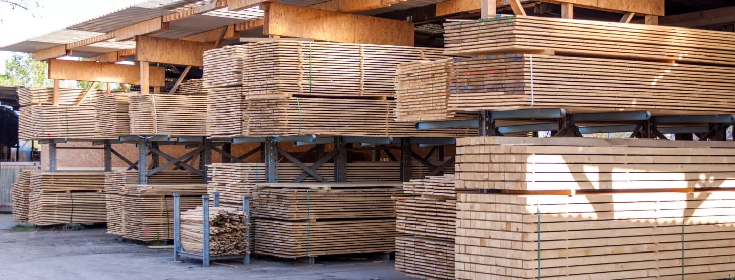 Efficient Storage Meets Intelligent Software